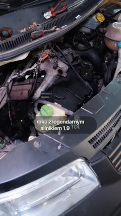 Volkswagen T5: komora silnika po demontażu elementów potrzebnych do serwisu.