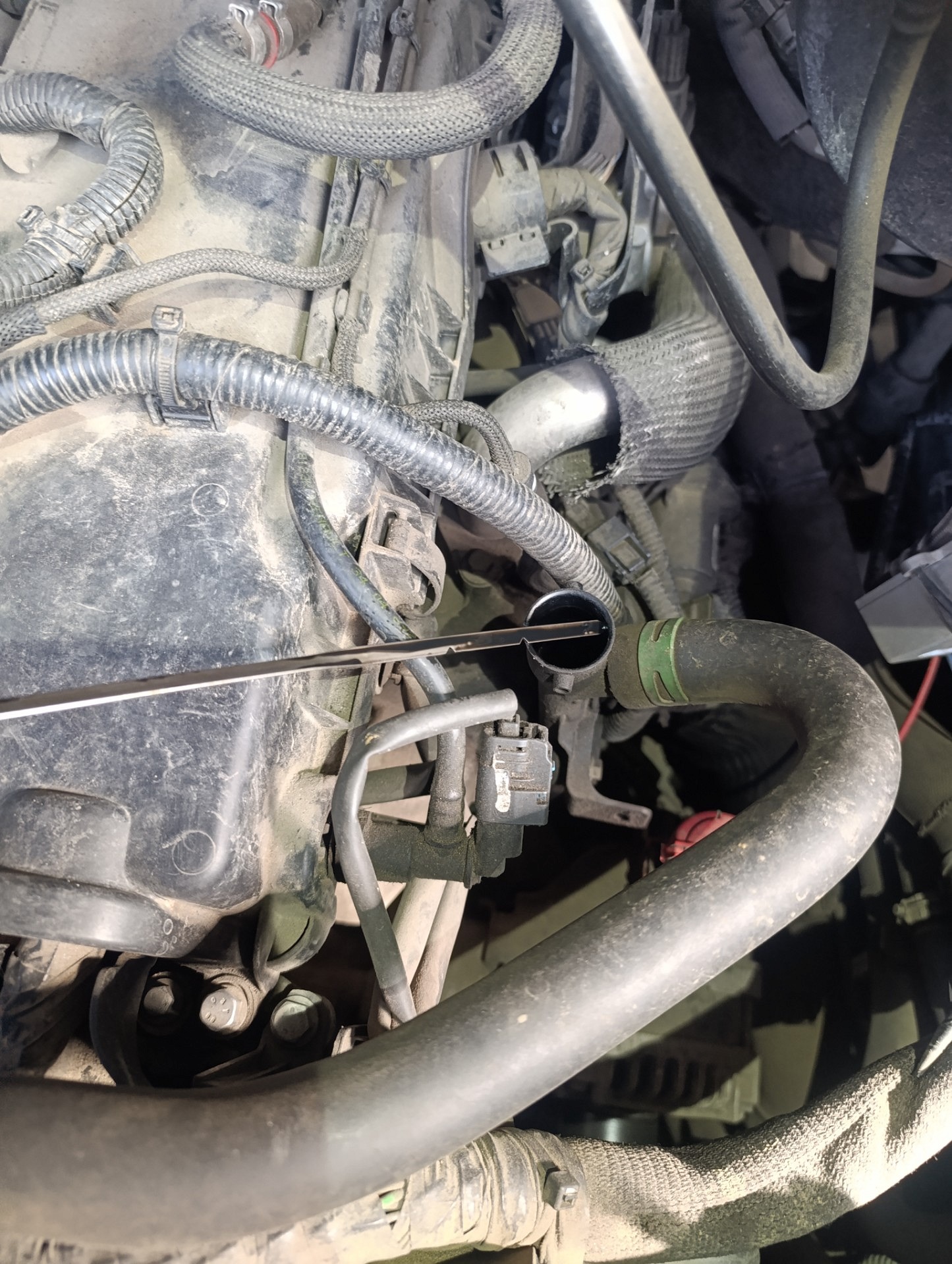 Poziom oleju silnikowego - RENAULT MASTER III Platforma / podwozie