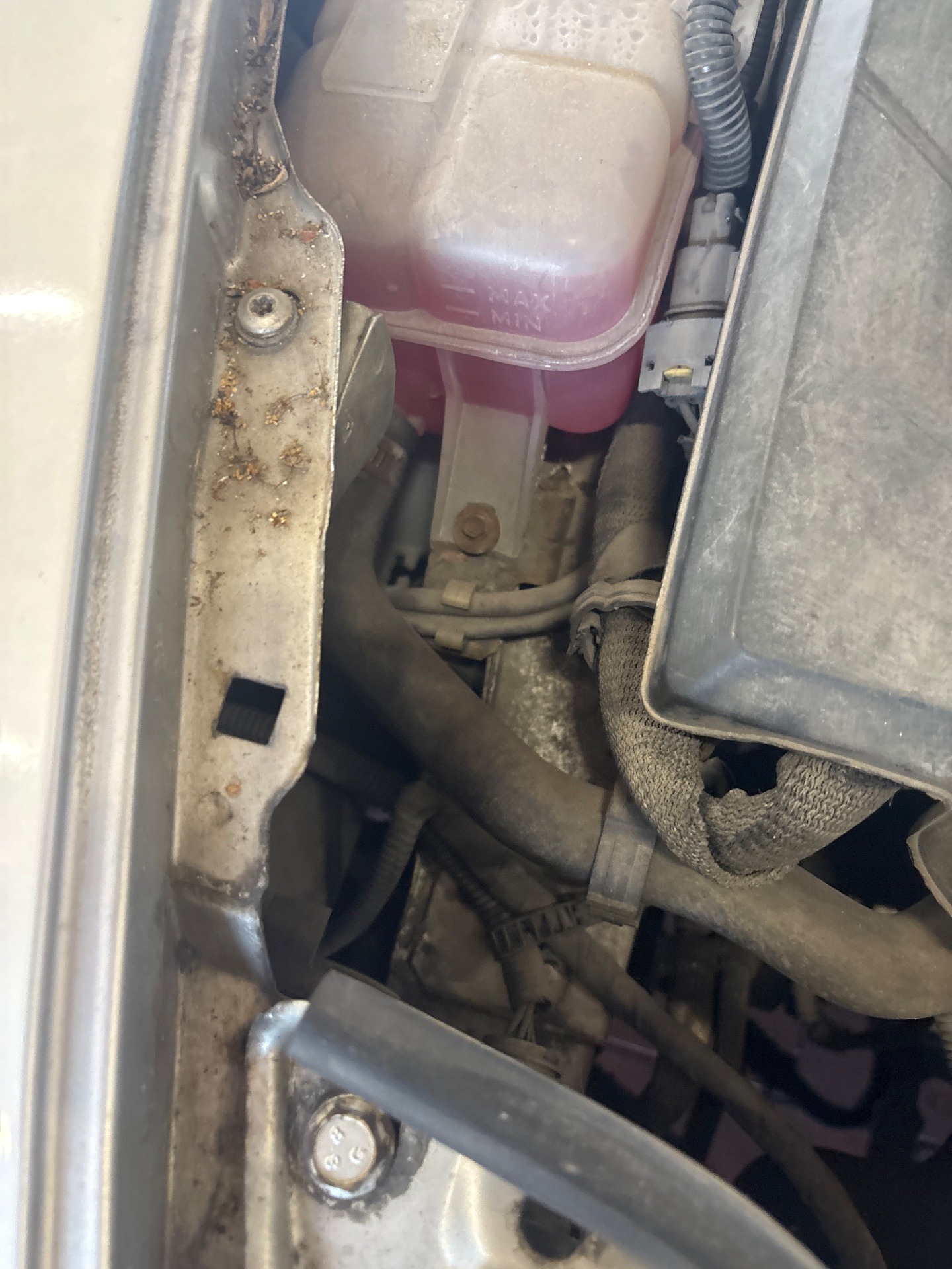 Poziom płynu chłodniczego - ALFA ROMEO 147