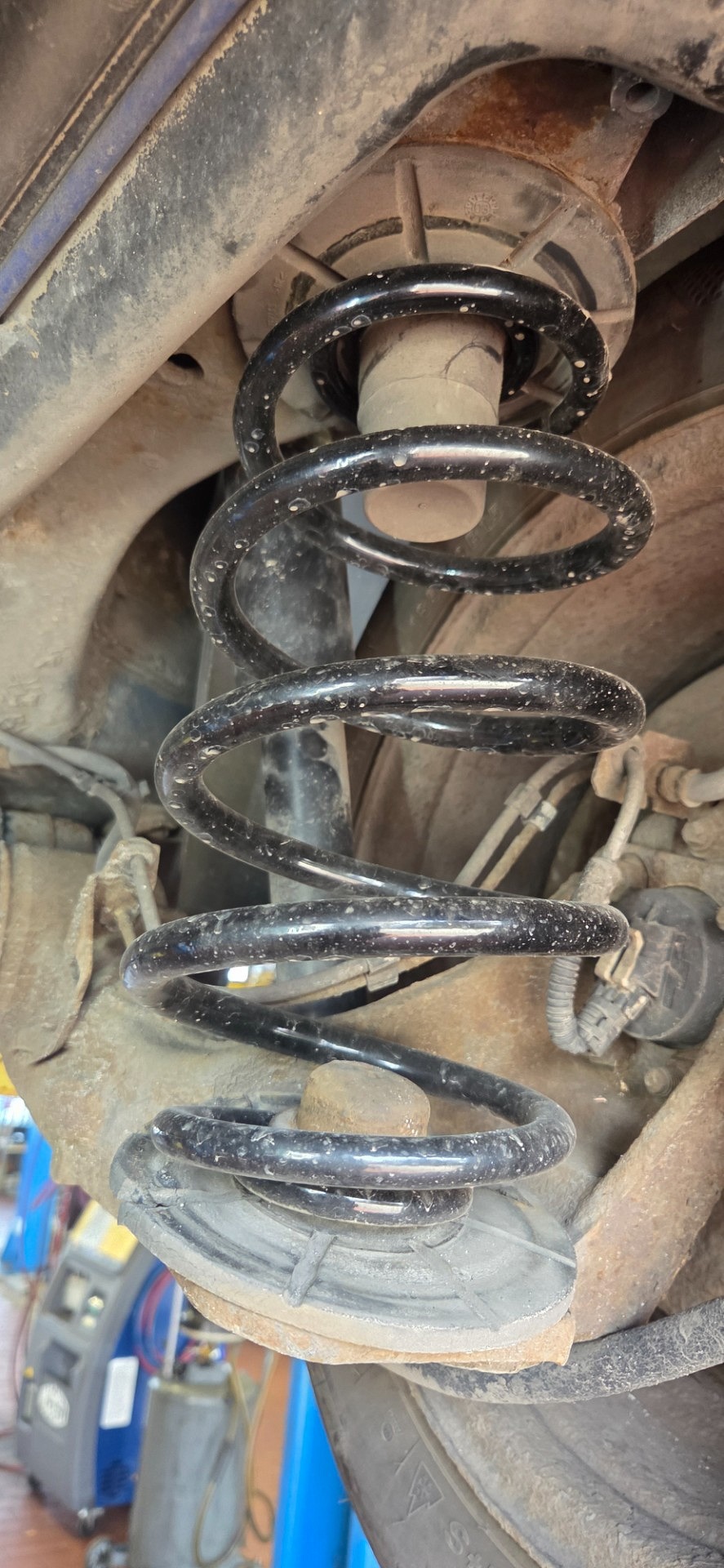 Sprężyny z tyłu - OPEL MERIVA A nadwozie wielkoprzestrzenne